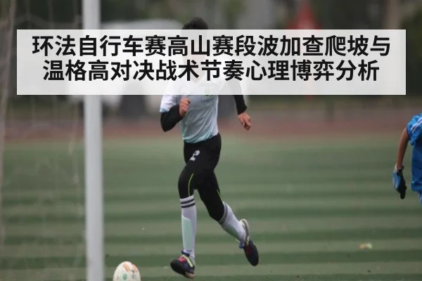 环法自行车赛高山赛段波加查爬坡与温格高对决战术节奏心理博弈分析